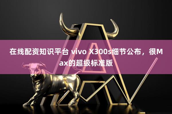 在线配资知识平台 vivo X300s细节公布,很Max的超级标准版